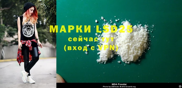 гидра Бородино