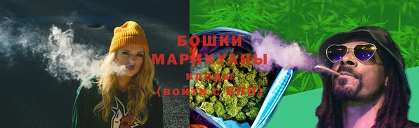 гидра Бородино