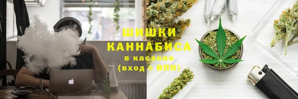 дурь Бронницы
