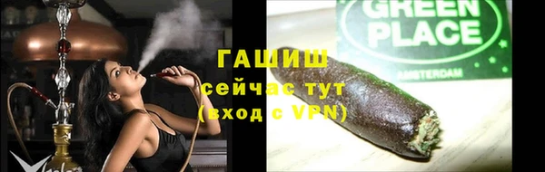 гидра Бородино