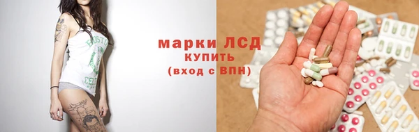 гидра Бородино