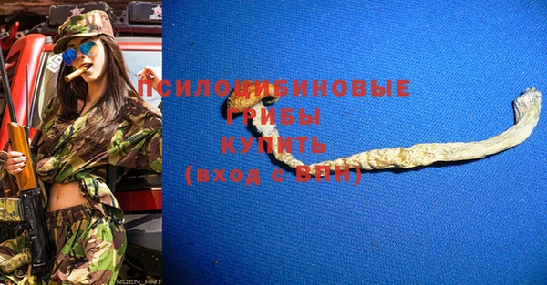 гидра Бородино
