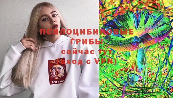гидра Бородино