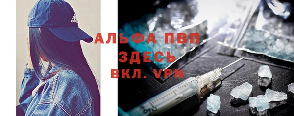 гидра Бородино